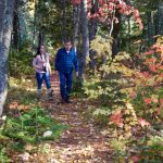 walking trail